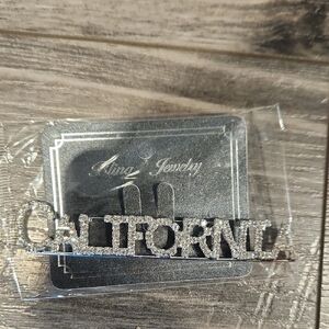 NWT Bling Jewelry Silver Sparkling 'California' Brooch 4" Across